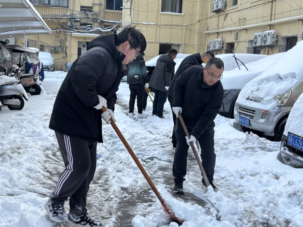 开展“志愿清雪行，奉献践初心”志愿服务活动